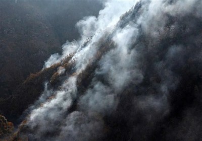 آتش‌سوزی در جنگل‌های رادکان شهرستان کردکوی مهار شد