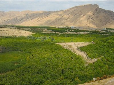 بازگشت 12 هکتار از اراضی ملی گرگان به منابع طبیعی